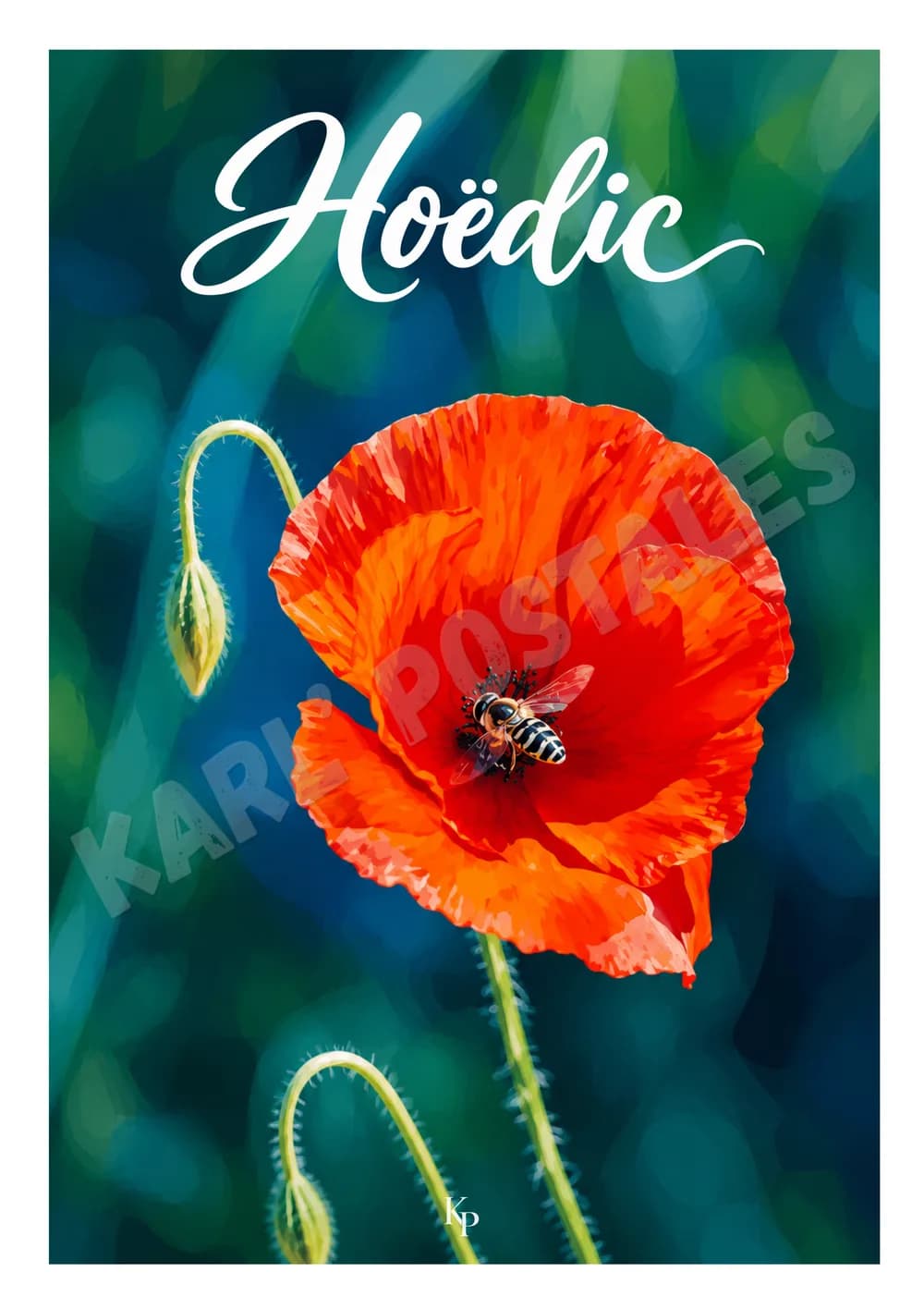 Hoëdic — n°24