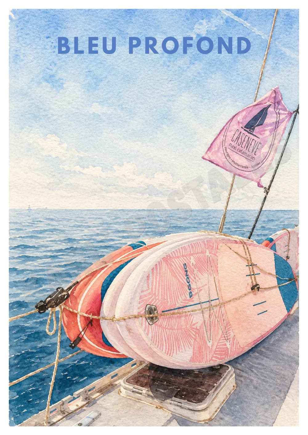 Caseneuve Maxi Catamaran — n°4