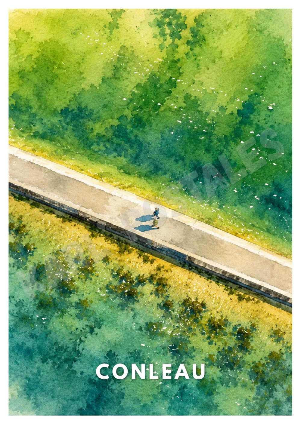 Conleau — n°6