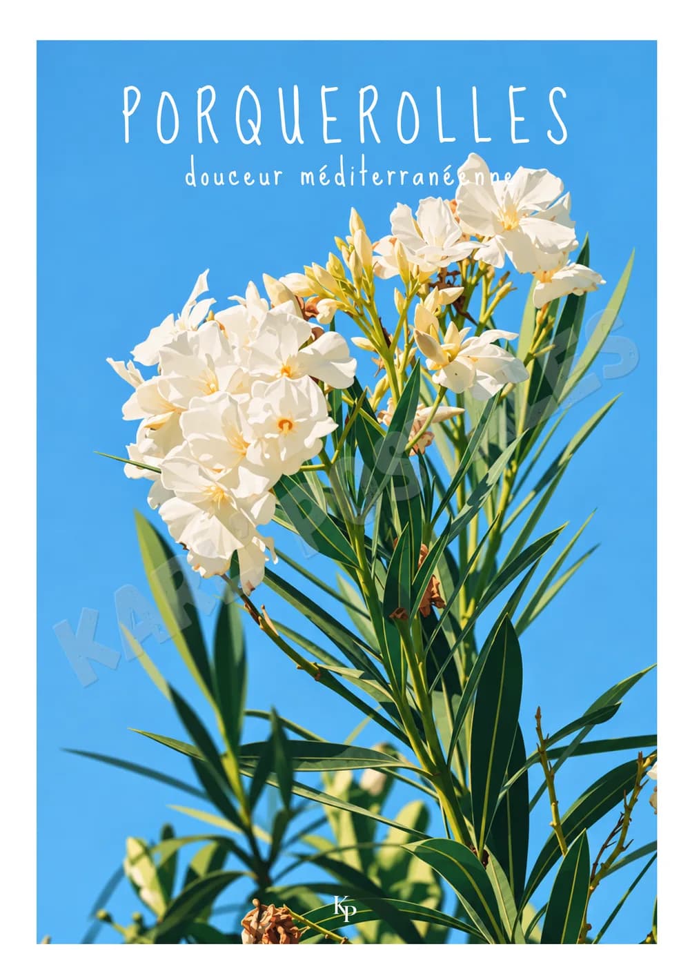 Porquerolles — n°23